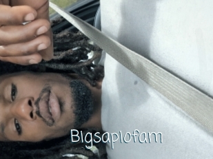 Bigsapiofam