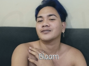 Blaam