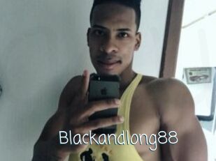 Blackandlong88