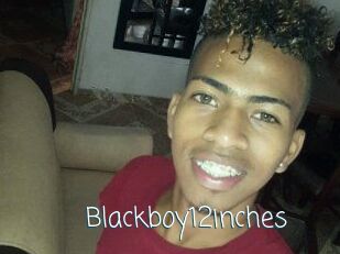 Blackboy12inches