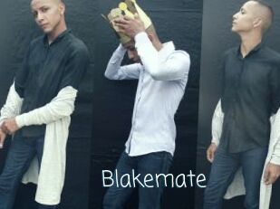 Blakemate