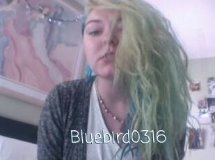 Bluebird0316