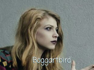 Boggartbird