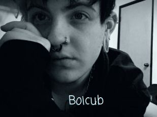 Boicub