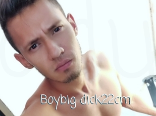 Boybig_dick22cm
