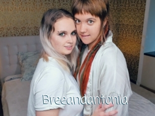 Breeandantonia