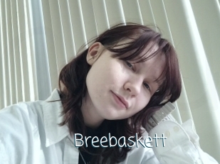 Breebaskett