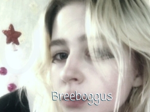Breeboggus