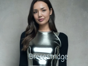 Breeestridge