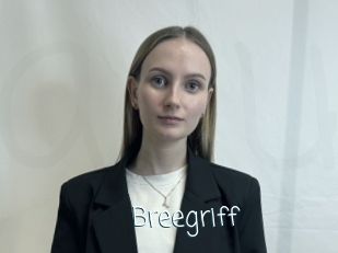 Breegriff