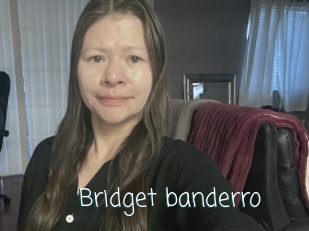 Bridget_banderro