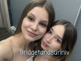 Bridgetandsunniv