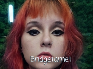 Bridgetarnet