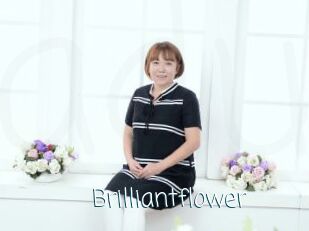 Brilliantflower