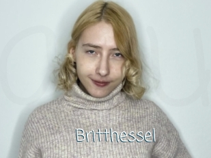 Britthessel