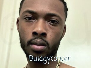 Buldgycancer