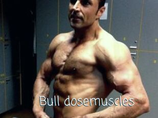 Bull_dosemuscles