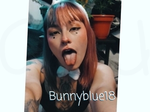 Bunnyblue18