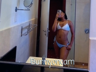 Bunnyoncam