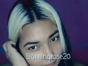 Burningrose20