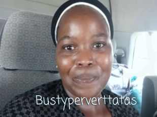 bustyperverttatas Adult o Porn