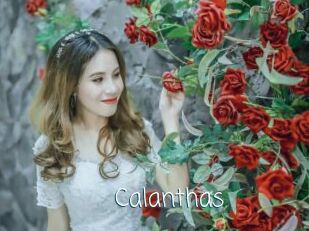 Calanthas