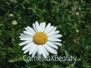 Camellia_XBeauty
