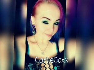 CarlieCoxx