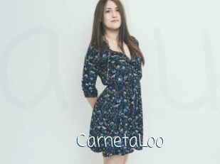 CarnetaLoo