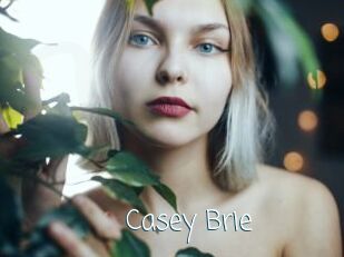 Casey_Brie Adult o Porn