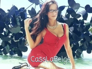 CassLaBelge Adult o Porn