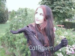 CatRaven
