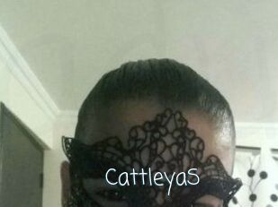 Cattleya_S