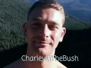 CharleyInTheBush