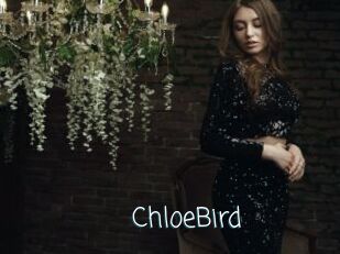 ChloeBird