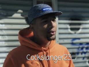 Cockslanger23