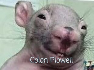 Colon_Plowell