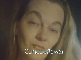 Curiousflower