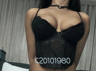 C20101980