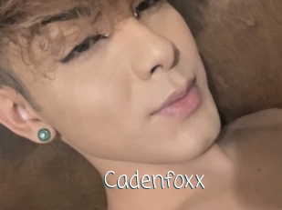 Cadenfoxx