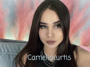 Cameliacurtis