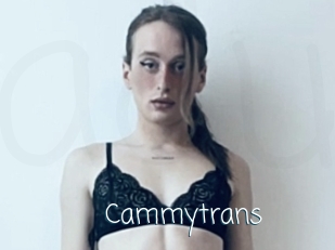 cammytrans Adult o Porn
