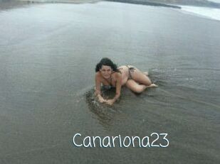 Canariona23