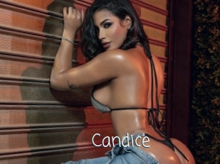 candice Adult o Porn