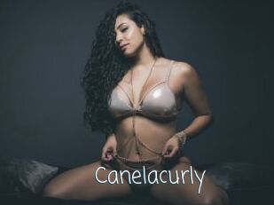 canelacurly Adult o Porn
