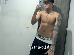 carlesbig Adult o Porn