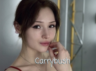 Carrybush