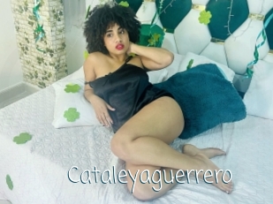 Cataleyaguerrero
