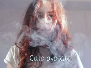 Cato_avocato