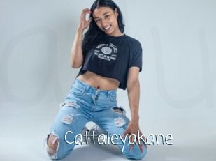 cattaleyakane Adult o Porn